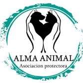 Alma Animal