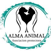 Alma Animal